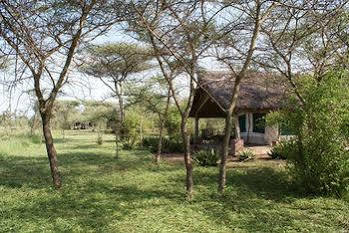 Robanda Tented Camp Esterno foto